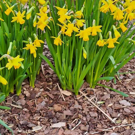 Penzion Hubertus Winterberg