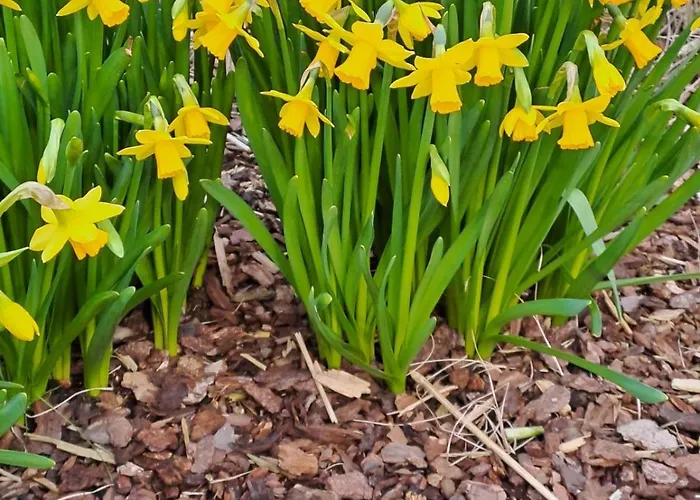 ゲストハウス Hubertus ヴィンターベルク